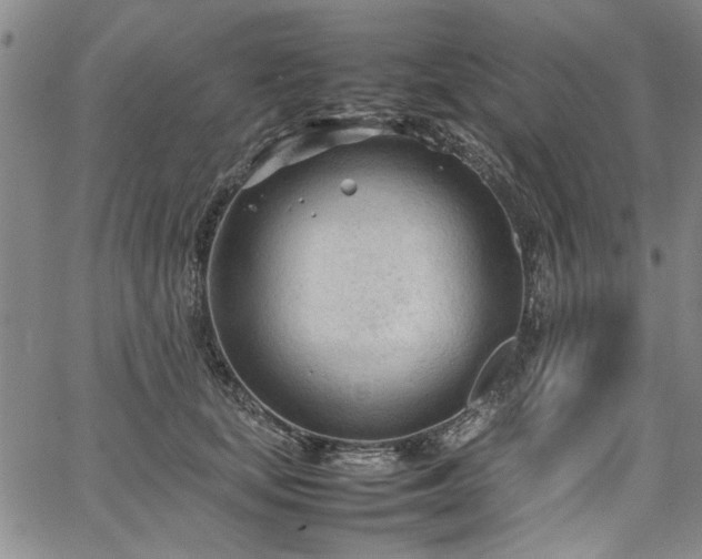 X0000067520659200604071322