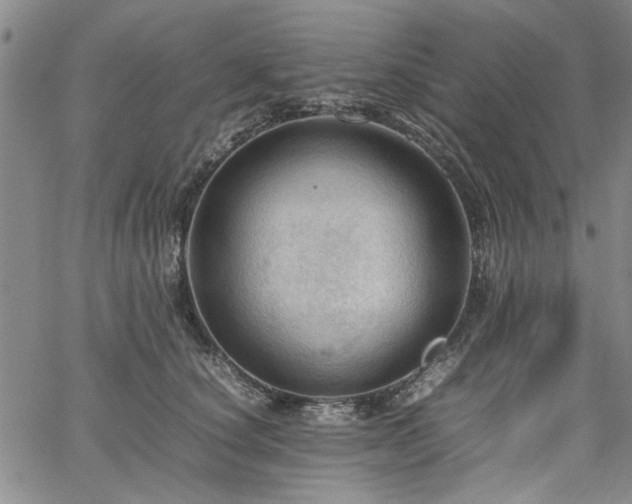 X0000067520660200604071322