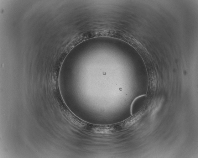 X0000067520661200604071322