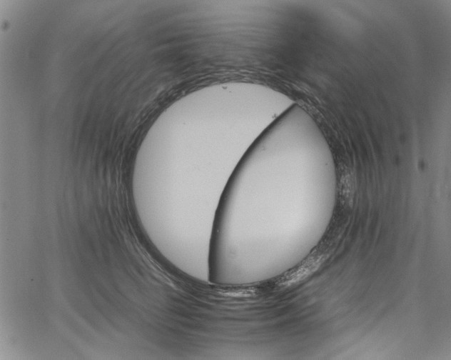 X0000067520662200604071322