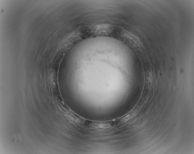 X0000067520663200604071323