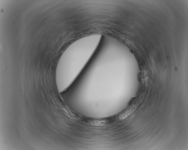 X0000067520664200604071323