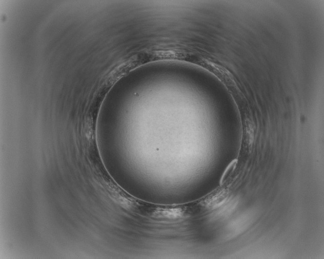 X0000067520665200604071323