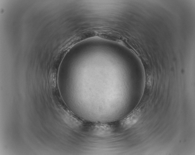 X0000067520666200604071323