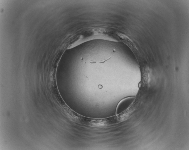 X0000067520667200604071323