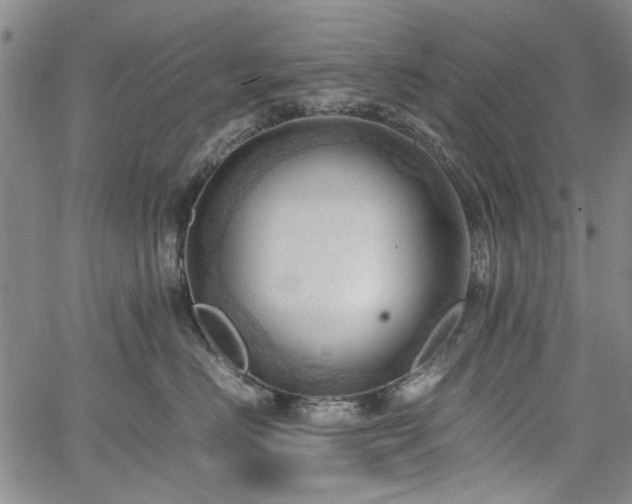 X0000067520670200604071323