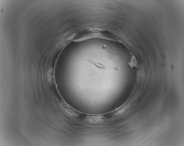 X0000067520671200604071323