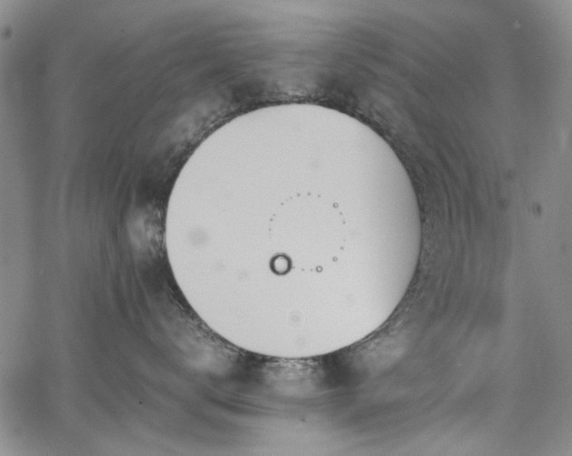 X0000067520672200604071323