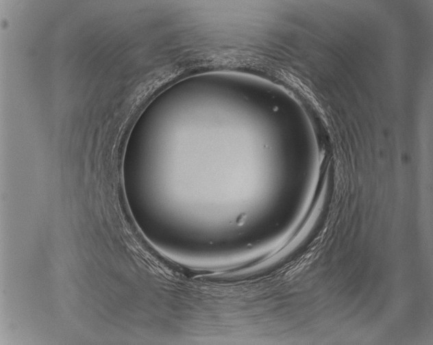 X0000067520673200604071322