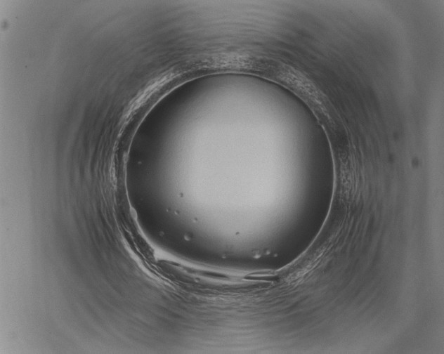 X0000067520674200604071322