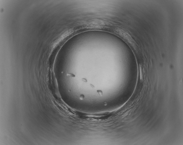 X0000067520675200604071322