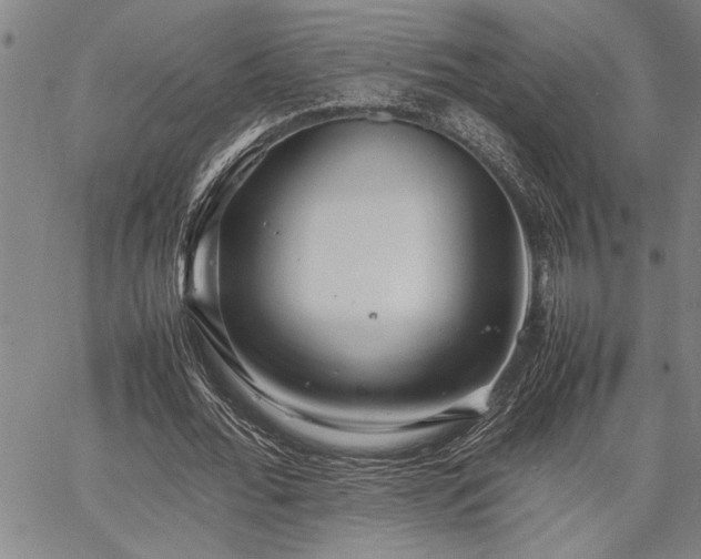 X0000067520676200604071322