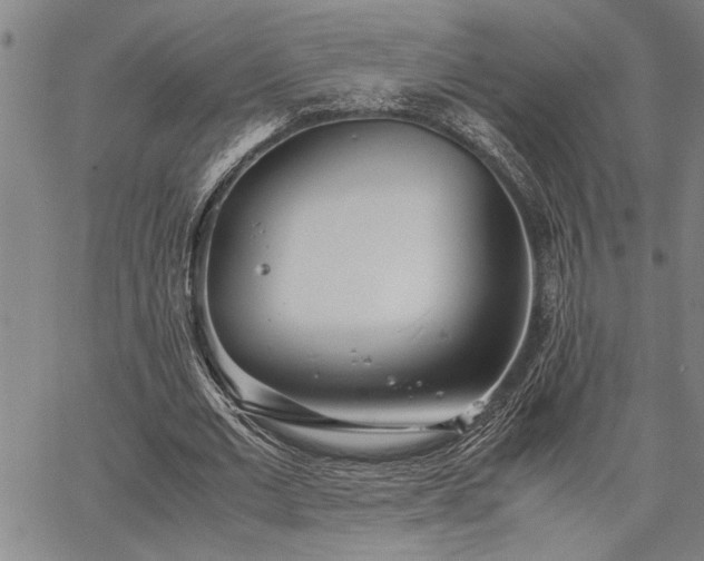 X0000067520677200604071322