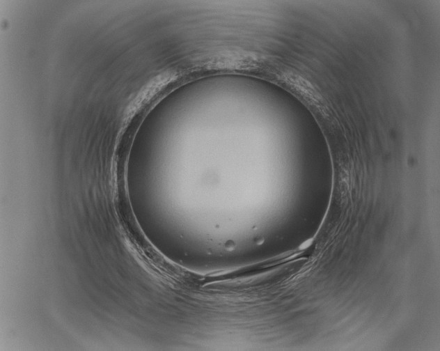 X0000067520678200604071322