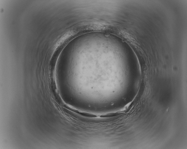 X0000067520679200604071322