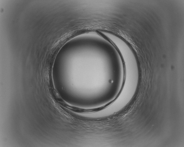 X0000067520681200604071322