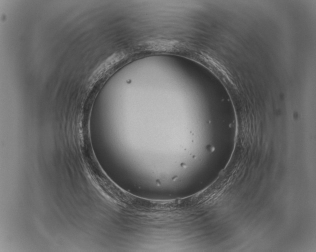 X0000067520682200604071322