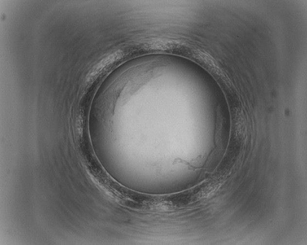 X0000067520683200604071322