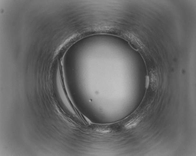 X0000067520684200604071322