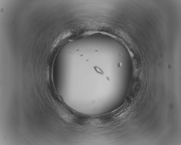 X0000067520685200604071322