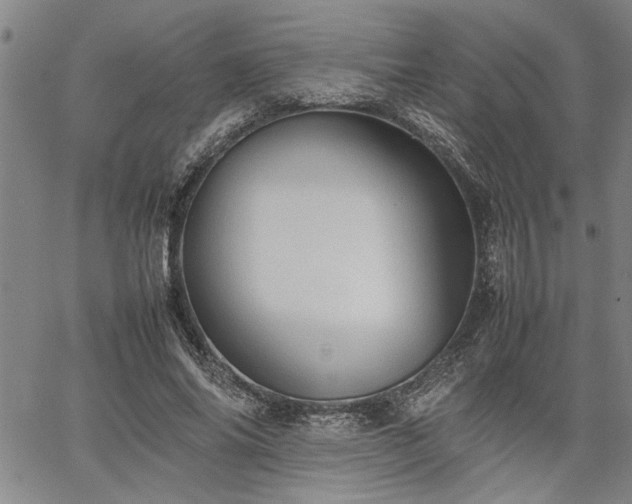 X0000067520686200604071322