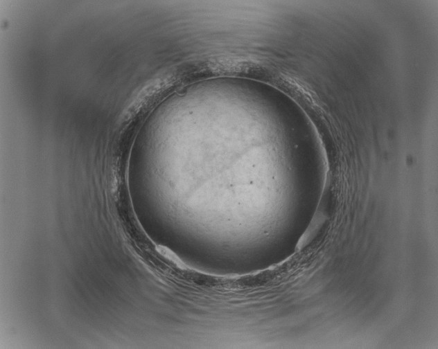 X0000067520687200604071322