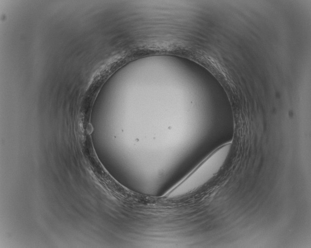 X0000067520688200604071322