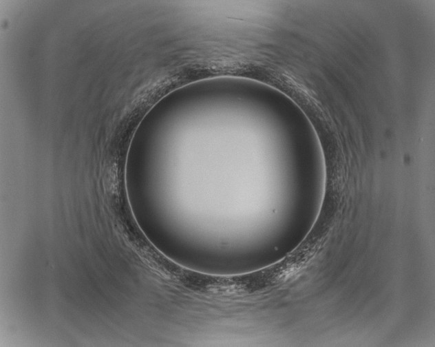 X0000067520689200604071322