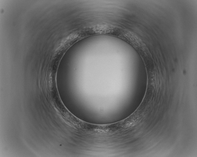 X0000067520690200604071322