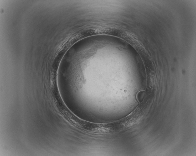 X0000067520691200604071322