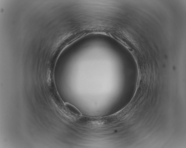 X0000067520692200604071322