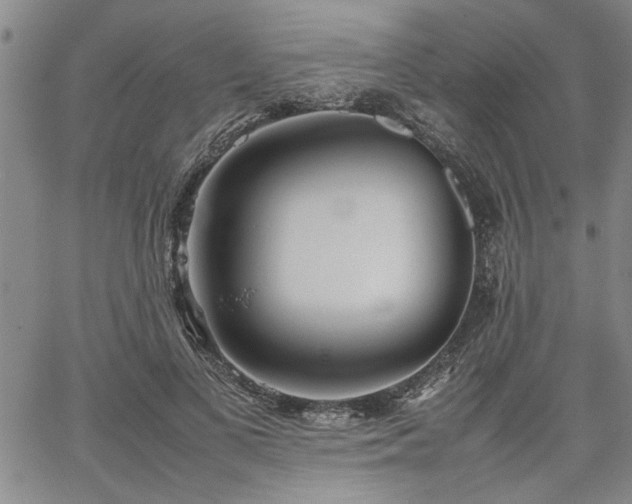 X0000067520693200604071322