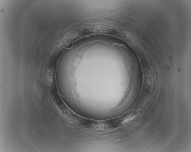 X0000067520695200604071321