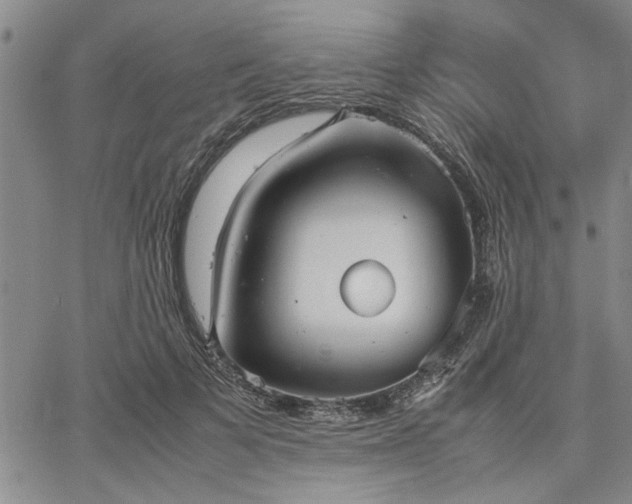 X0000067520697200604071321