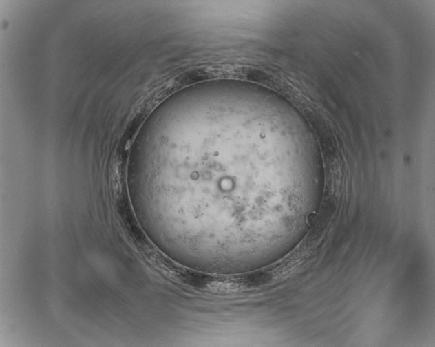 X0000067520699200604071321