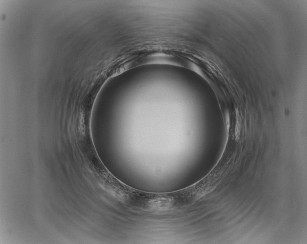 X0000067520700200604071321