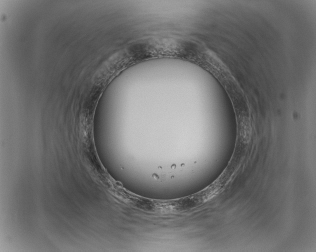 X0000067520701200604071321