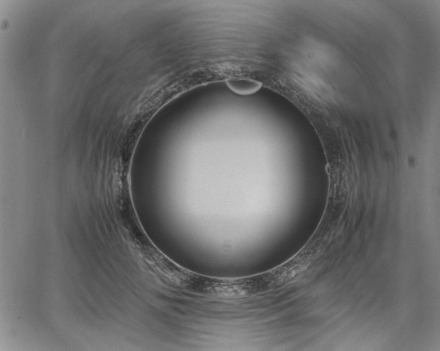 X0000067520702200604071321