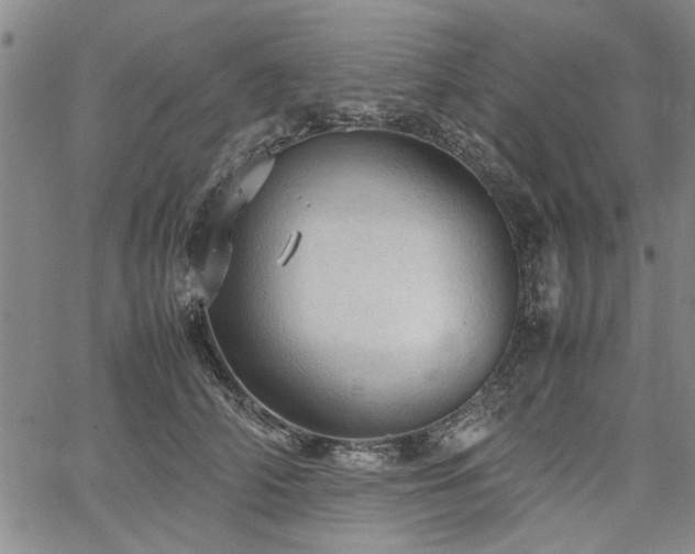 X0000067520706200604071321