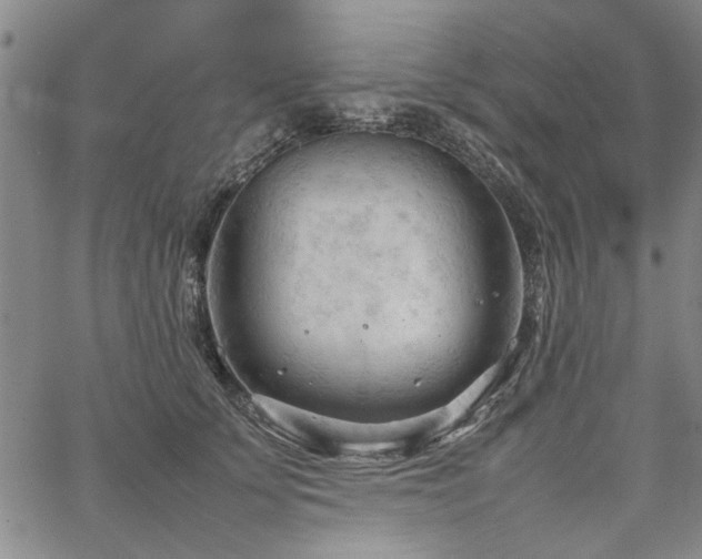 X0000067520707200604071321