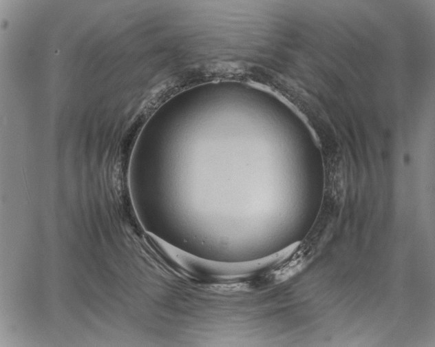 X0000067520708200604071321