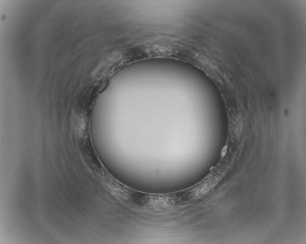 X0000067520709200604071321