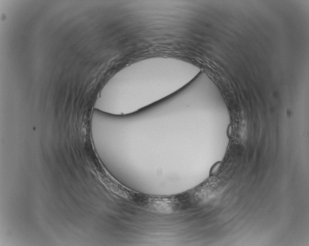 X0000067520710200604071321