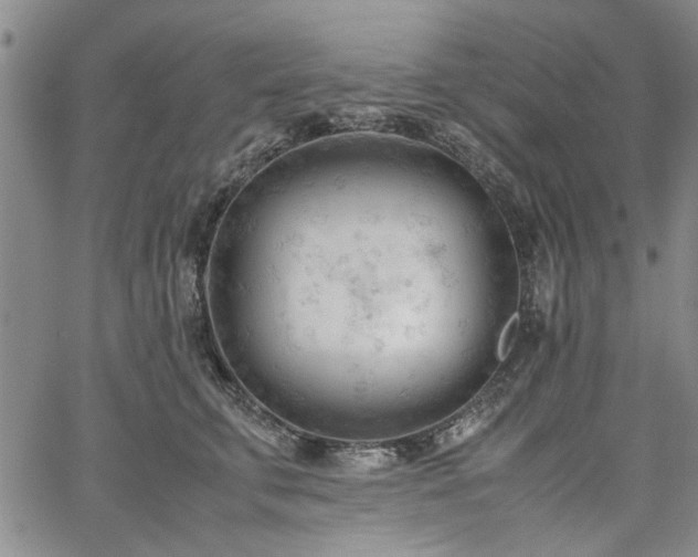 X0000067520711200604071321