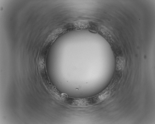 X0000067520713200604071321