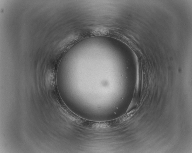 X0000067520714200604071321