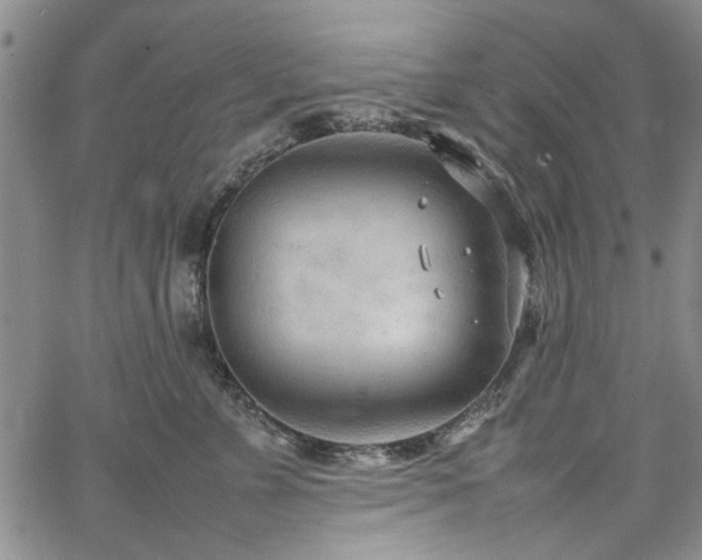 X0000067520715200604071321