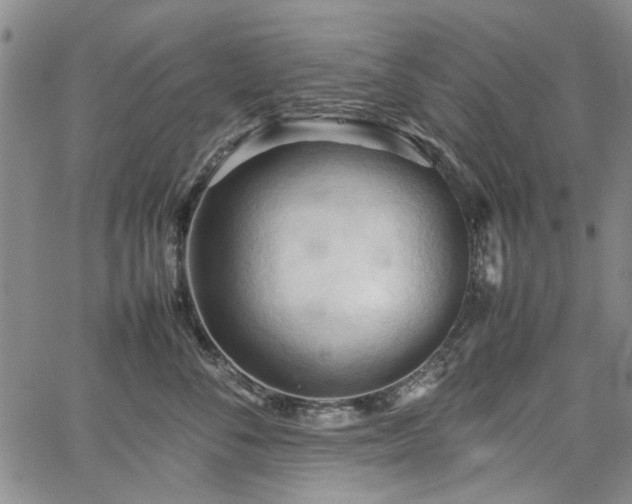 X0000067520716200604071321