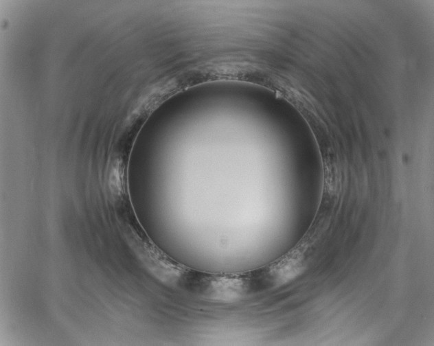 X0000067520718200604071321