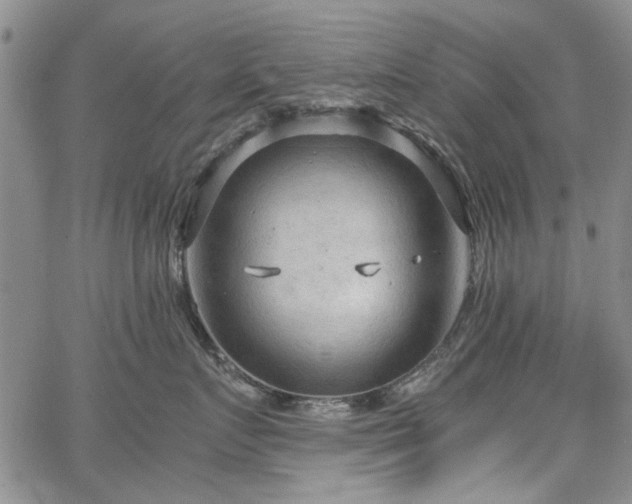 X0000067520719200604071321